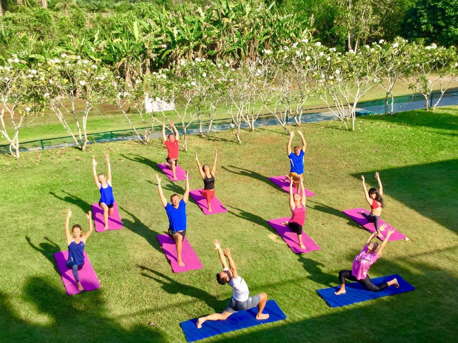 A group yoga class with arms raised on mats on a tropical lawn, surrounded by frangipani trees