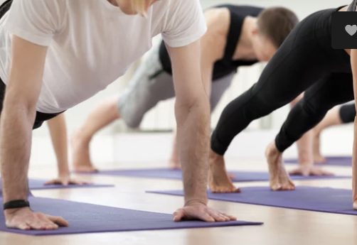 A row of practitioners in a plank position on purple mats in a studio